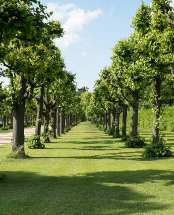 Journées de la nature à Berlin !