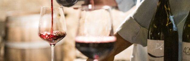 Bar à vin naturel : dégustation au comptoir