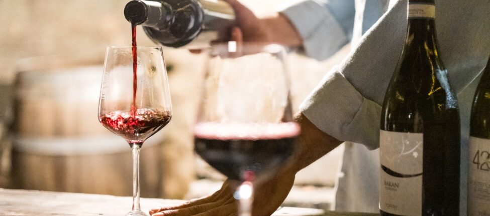 Bar à vin naturel : dégustation au comptoir