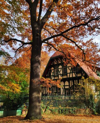 Visiter Rixdorf à Berlin : le vieux village de Neukölln