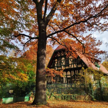 Visiter Rixdorf à Berlin : le vieux village de Neukölln